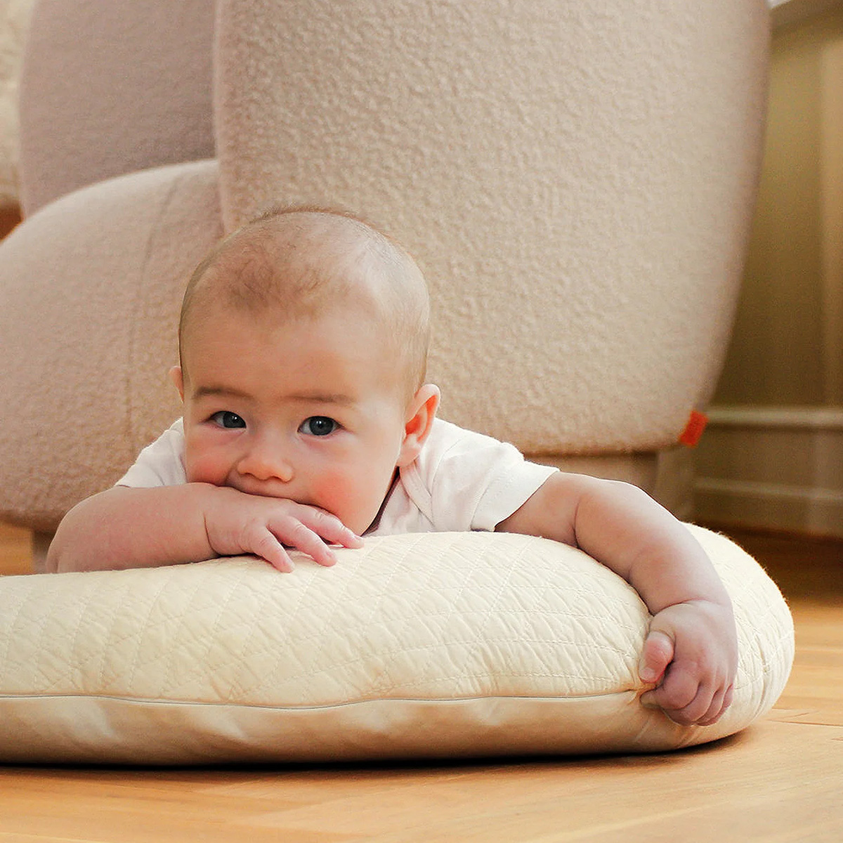 Moon Stillkissen Lunar Rock