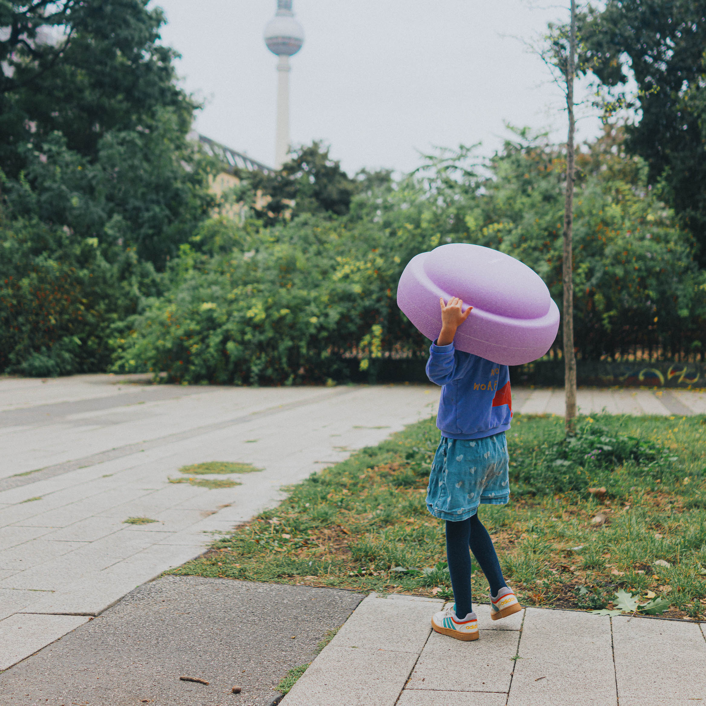 Original Grow Violett