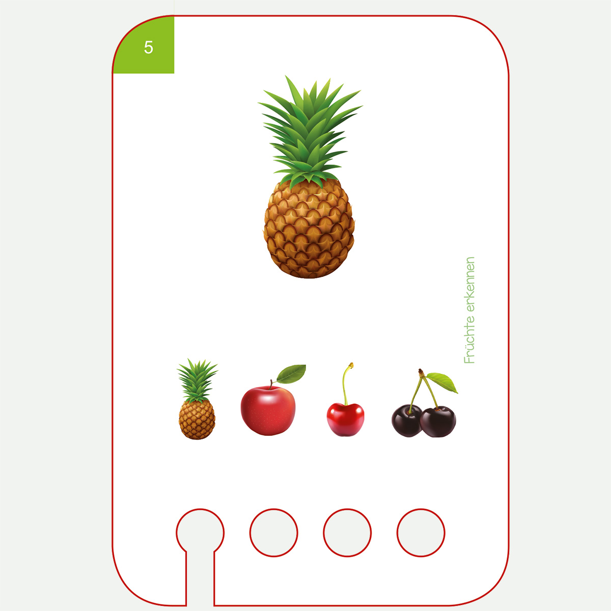 Lochkasten Kartensatz 2+ Früchte erkennen