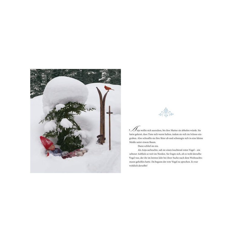 Ein wunderbarer Weihnachtswunsch